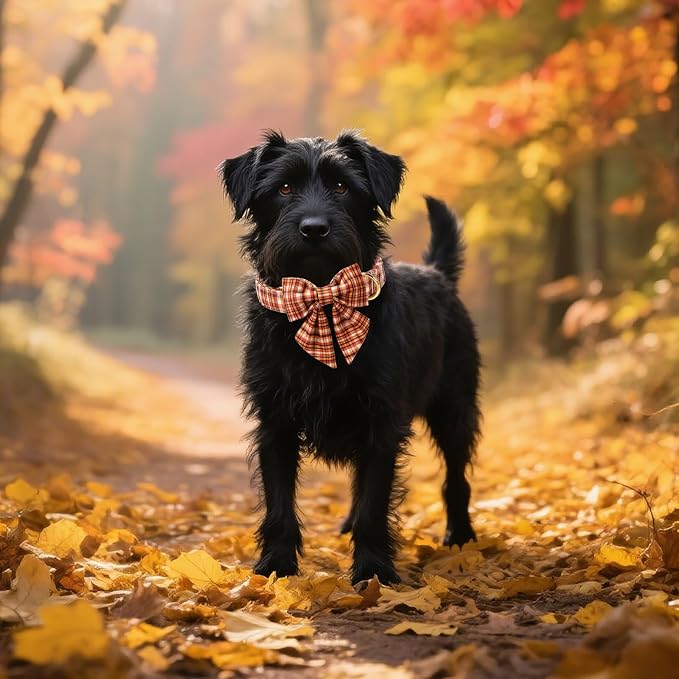 Unique style paws Cartoon Dog Collar with Bowtie Autumn Halloween Plaid Puppy Collar with Colorful Orange Grid for Small Medium Large Boys Girls Dogs