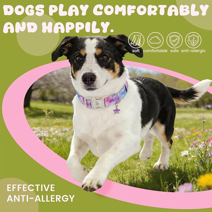 Elegant little tail Dog Collar - Colorful Print Dog Collars Cute Spring Puppy Adjustable Pet Collars with Sturdy Quick Release Buckle for Large Dogs