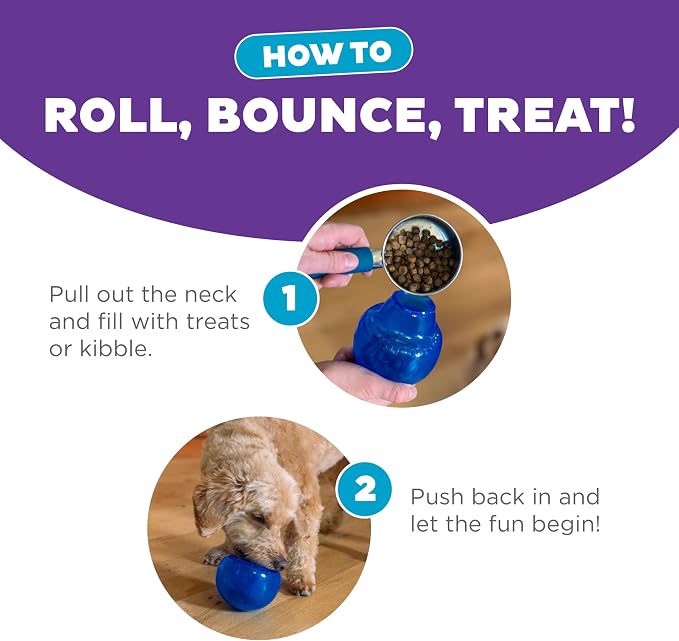 Outward Hound by Planet Dog Lil' Snoop Dog Toy – Treat‑Dispenser Puzzle Ball, Interactive Slow Feeder, Small to Medium Dogs, Bouncy & Mint-Infused, Blue, 3.9"