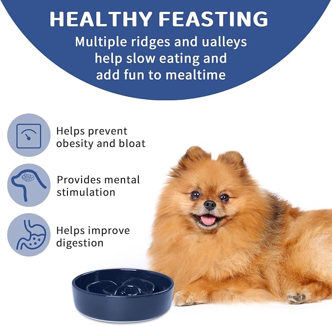 Slow Feeder Dog Bowls, Ceramic Slow Feeding Bowl for Small and Medium Breed, Anti Choking Puzzle Dog Food Bowl with Non-Slip Base for Fast Eater (Blue, S-0.6CUP)