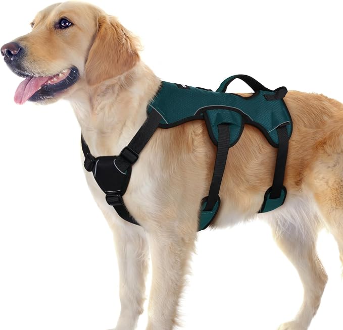 rabbitgoo Escape Proof Dog Harness, Soft Padded Full Body Pet Harness, Reflective Adjustable No Pull Vest with Lift Handle and Leash Clip for Large Dogs Walking Hiking Training, Dark Green, L