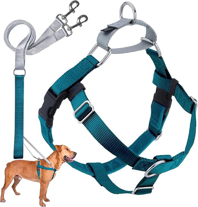 2 Hounds Design Freedom No Pull Dog Harness, Adjustable Harness and Leash Set, Easy Walking & Comfortable Control, Fits Small, Medium & Large Dogs, Solid Colors, Made in USA, 1" XXL, Teal