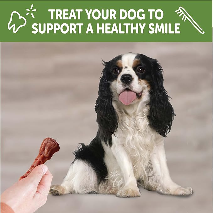 Wellness WHIMZEES Daily Brushzees Natural Dog Dental Treat, VOHC Accepted Chews, Freshens Breath, Small Size, 7.4 oz Bag, 14 Count