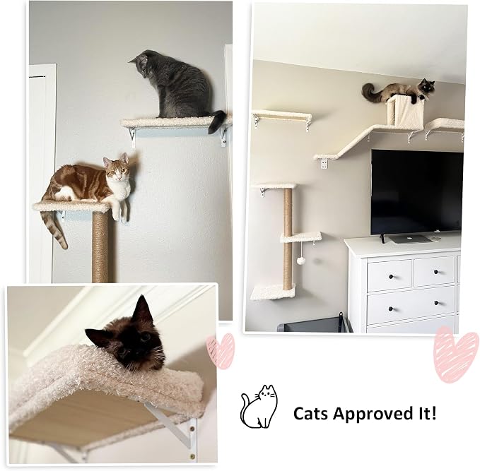 FUKUMARU Cat Wall Shelves, Stable & Safe 5 in 1 Cat Walls Furniture Set, Wooden Kitten Climbing Wall with Scratching Post for 16 Inch Drywall - Beige