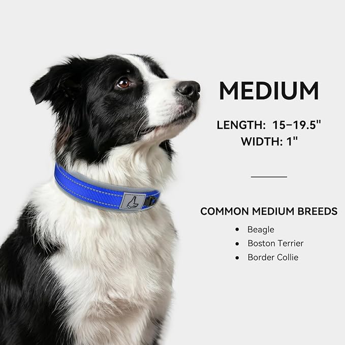Joytale Dog Collar for Medium Dogs, Neoprene Padded and Adjustable, Reflective Wide Heavy Duty Pet Collars with Durable Metal Belt Buckle for Walking, Navy Blue, M