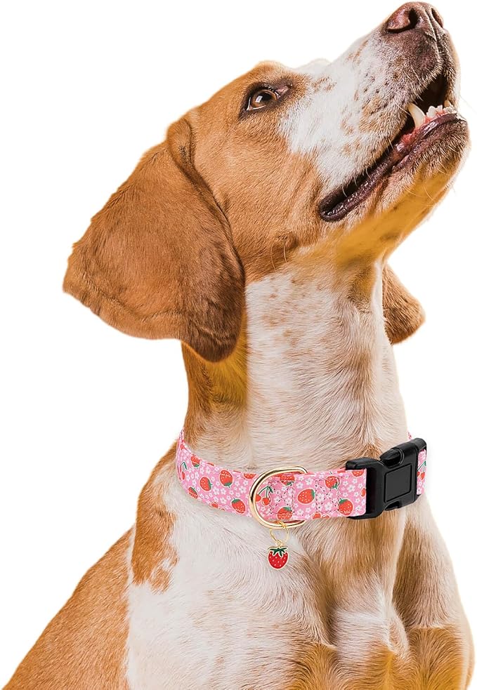 Personalized Dog Collars,Adjustable Puppy Collars with Safety Buckle for Small Medium Large Dogs,Cute and Unique Pink Cherry Pattern Pet Collar for Boy Girl Dogs. (Pink Strawberry, L)