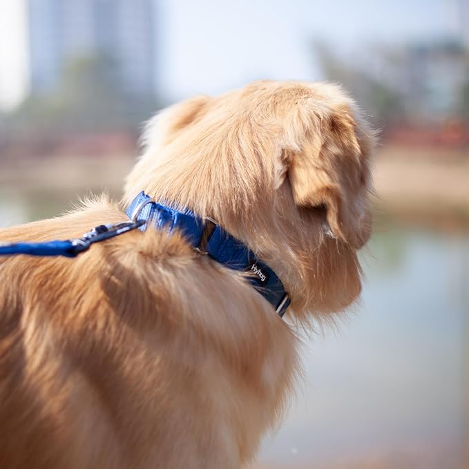 Hyhug Martingale Dog Collar Medium Blue |Escape - Proof Heavy Duty Nylon Durable No Slip, Ideal for Training & Daily Walks