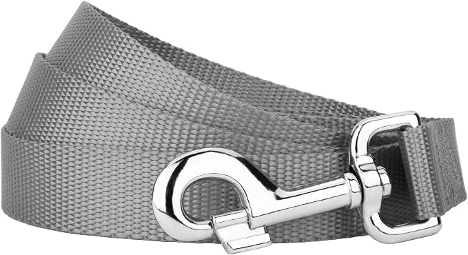 Country Brook Petz - Everyday Nylon Dog Leash - Strong, Durable, Solid Color Leash with Easy to Use Snap - 25+ Colors (1 Inch Wide, 4 Foot, Silver)