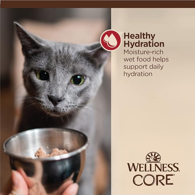 Wellness CORE Tiny Tasters Minced Adult Wet Cat Food, Natural, Protein Rich, Grain Free, Chicken and Beef Recipe, 1.75 oz, Pack of 12 Pouches