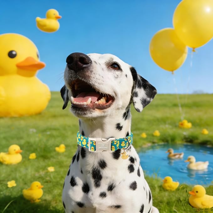 Maca Bates Cute Dog Collar with Rubber Duck Charm for Extra Small Girl Boy Dogs, Green Yellow Ducks Pattern,Adjustable Durable Soft Collars for Male Female Puppy
