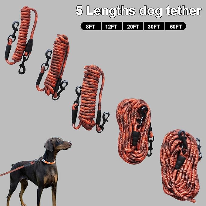 BTINESFUL Dog Tie Out, Check Cord Long Tether Rope Leash, 8ft 12ft 20ft 30ft 50ft 75ft Yard Training Dog Lead - Large Medium Small Dogs Outdoor Playing, Camping, or Backyard (12ft, Orange Black)