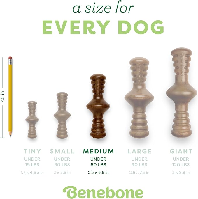 Benebone Zaggler Rolling Dog Chew Toy for Aggressive Chewers, Real Bacon, Made in USA, Medium (Pack of 2)