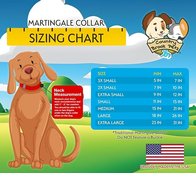 Country Brook Petz - Martingale Dog Collar - Heavy-Duty Training Collar with No Buckle - Service Dog Collar for All Pups - 20 Vibrant Colors (Orange, 3/8 Inch, 2XS)