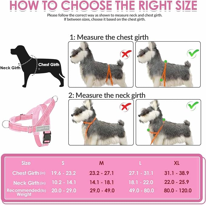 Lukovee No Pull Dog Harness and Leash Set - Adjustable Soft Padded Vest with Front Clip for Easy Control, Reflective Durable Harness for Safe Daily Training Walking for Medium Large Dogs (XL, PI)