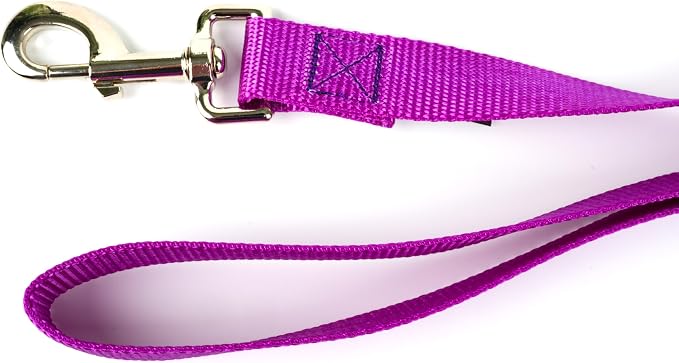 Country Brook Petz - Everyday Nylon Dog Leash - Strong, Durable, Solid Color Leash with Easy to Use Snap - 25+ Colors (1 Inch Wide, 6 Foot, Bright Purple)