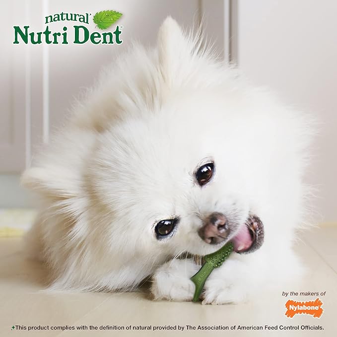 Nylabone Nutri Dent Natural Dental Chews for Dogs, Limited Ingredient Dog Treats Made in the USA, Clean Teeth & Fresh Breath, Healthy Dog Chews, Fresh Breath Flavor, For X-Small Dogs, (160 Count)