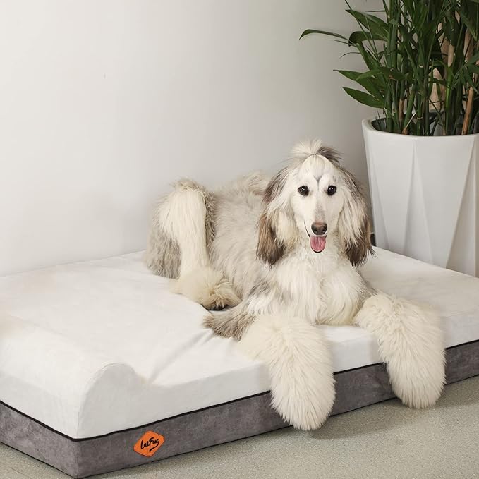 Laifug Orthopedic Dog Beds for Large Dogs,7" Memory Foam Dog Beds,Durable Water Proof Liner Removable and Washable, Nonskid Bottom, Dark Grey 50"x36"x7"