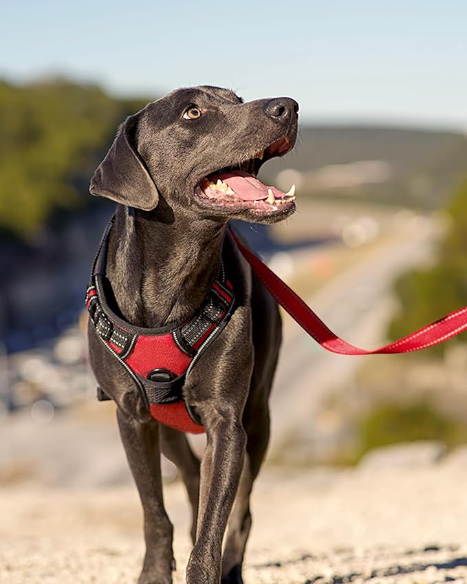 Joytale No Pull Dog Harness Medium Sized Dog, Reflective Pet Vest with Front Clip, Adjustable Soft Padded Harnesses with Easy Control Handle for Training and Walking, Red, M