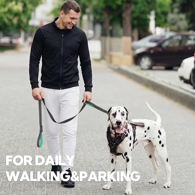 2-Handle Dog Leash Heavy Duty, Traffic Control & Night Safety Reflective Lead for Mid Large Dogs, Comfort Padded Grip Dog Leashes for Walking and Training(6 FT x 1" Wide, Black+ Teal)