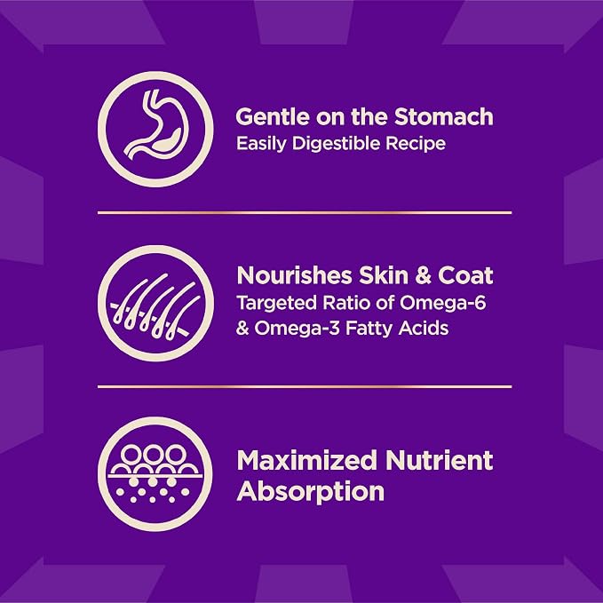 Wellness CORE+ Sensitive Skin and Stomach Adult Dry Dog Food with Freeze Dried Pieces, Wholesome Grain Kibble+, Natural, High Protein, Chicken Free, Salmon and Rice Recipe, 4 lb Bag