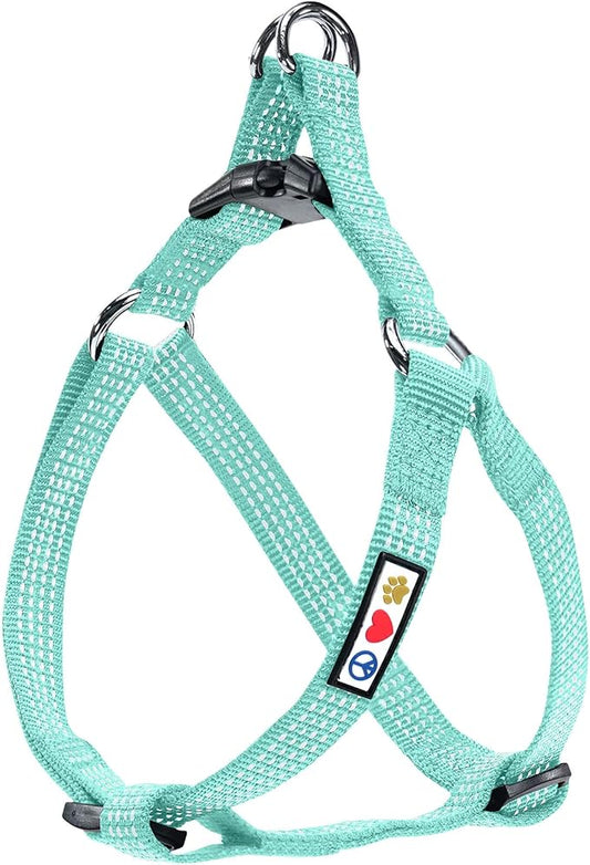 Pawtitas Reflective Step-in Dog Harness – Adjustable No-Pull Vest for Puppies to Seniors, Safe & Comfortable, L Teal