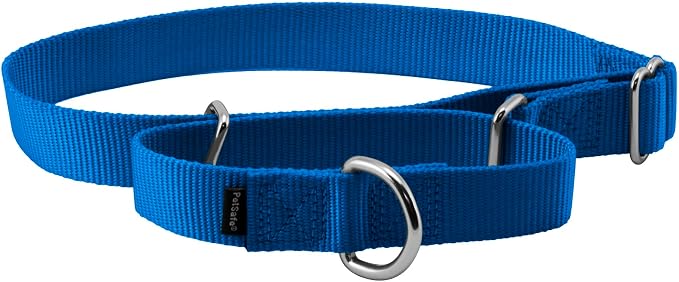 PetSafe Martingale Dog Collar Large, 1 Inch, Royal Blue