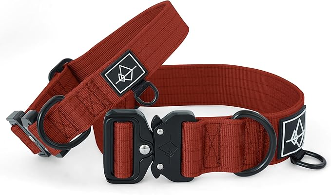 Made to ROAM Premium Dog Collar - Adjustable Heavy Duty Nylon Collar with Quick-Release Metal Buckle (Texas Flair, Classic Size 4)
