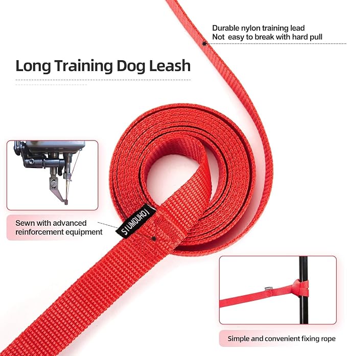 Dog/Puppy Obedience Recall Training Agility Lead - 15ft 20ft 30ft 40ft 50ft Training Leash - Great for Play, Camping, or Backyard (Mint Blue, 20 Feet)