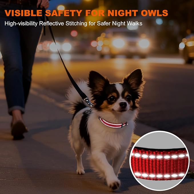 Taglory Reflective Dog Collar for Puppies with Escape-Proof Locking Buckle, Soft Neoprene Padded and Upgraded Zinc Alloy Ring, Adjustable for Chihuahua Yorkie, Red,XS