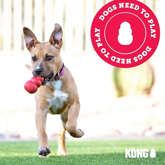 KONG Flyer - Durable Dog Toy for Outdoor Playtime - Natural Rubber Flying Disc, Dog Toy for Fetch - Safer Disc for Healthy Activity - for Small Dogs