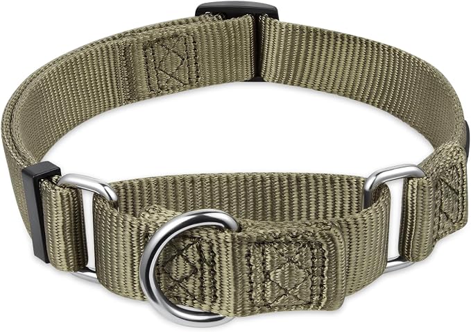 Hyhug Martingale Dog Collar Medium Green |Escape - Proof Heavy Duty Nylon Durable No Slip, Ideal for Training & Daily Walks