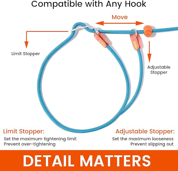 HowGo Slip Collar for Dogs,No Pull Adjustable Martingale Collar for Training, Nylon Rope,Dual Stopper and Durable Aluminum Hardware,Spring-Loaded,for Small Medium Large Dogs(MintGreen)