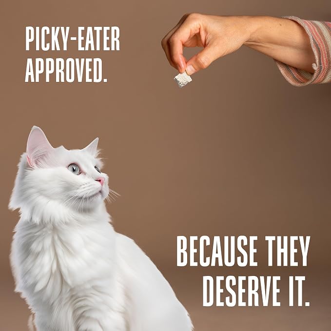 Whole Life Cat Just One Turkey Freeze Dried Cat Treats - Human Grade High Protein Food, Healthy Training Snacks, Freeze Dried Turkey Food Toppers, USA Made Natural Treats - 1.2 oz (Pack of 1)