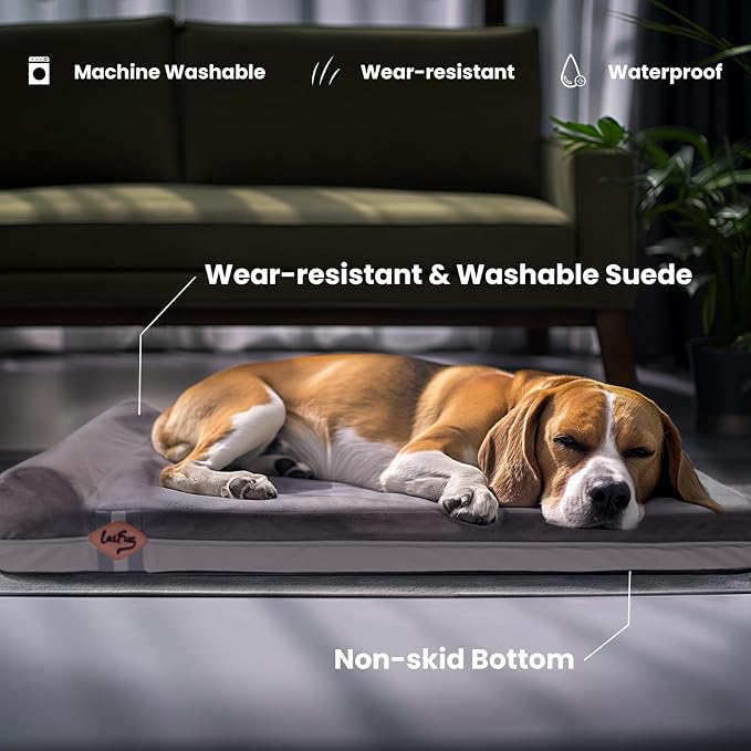 Laifug Orthopedic Dog Beds for Large Dogs,3" Memory Foam Dog Beds,Durable Water Proof Liner Removable and Washable, Nonskid Bottom, Grey 34"x22"x3"