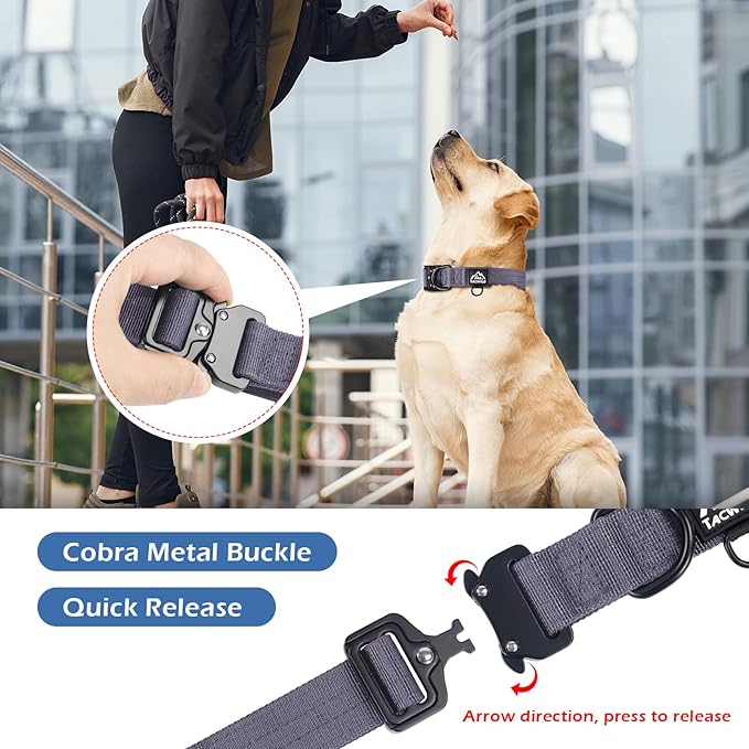 Dog Collar for Small Dogs Christmas Boy Girl - Adjustable, Chew Proof Nylon Collar with Metal Quick Release Buckle and D-Ring for Dog Tags (Montana Moonrise, S(0.5''Width, Fit 11''-15''))
