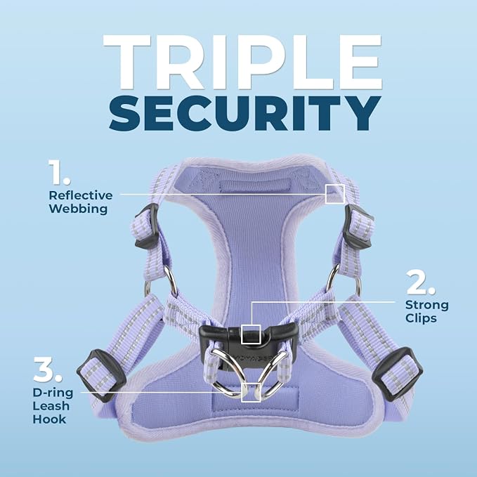Best Pet Supplies Voyager Adjustable Step-in Flex Breathable Mesh Dog Harness for Small Medium Large Dogs (Lavender), M