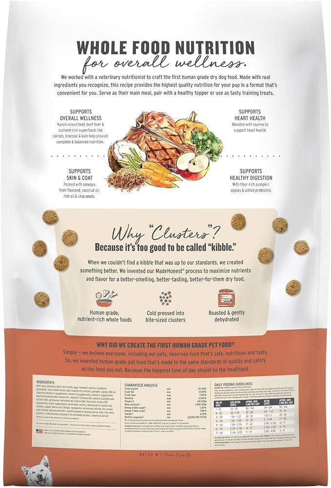 The Honest Kitchen Human Grade Dry Dog Food, Whole Food Clusters Grain Free Dry Dog Food, Beef, 10 lb Bag