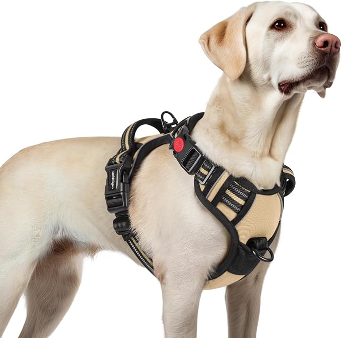rabbitgoo Dog Harness for Large, No Pull Easy On & Off with 3 Buckles Pet Harness, Adjustable Soft Walking Vest with 2 Clips and Handle, Reflective for Large Dogs, Beige, L