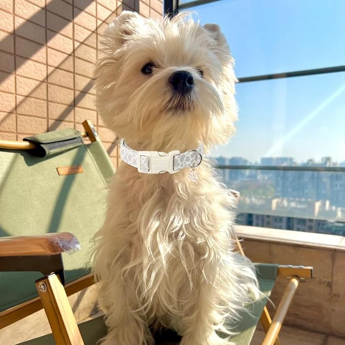 Maca Bates Beige Leopard Cute Dog Collar for Medium Boy Girl with Bone Charm,Leopard Pattern,Adjustable Durable Soft Comfortable Birthday Gift Collars for Male Female Puppy