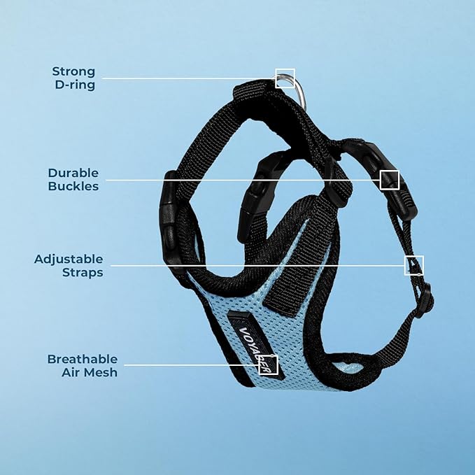 Voyager Step-in Pet Harness - All Weather Mesh, Adjustable Step in Harness for Cats and Dogs by Best Pet Supplies - Baby Blue/Black Trim, S
