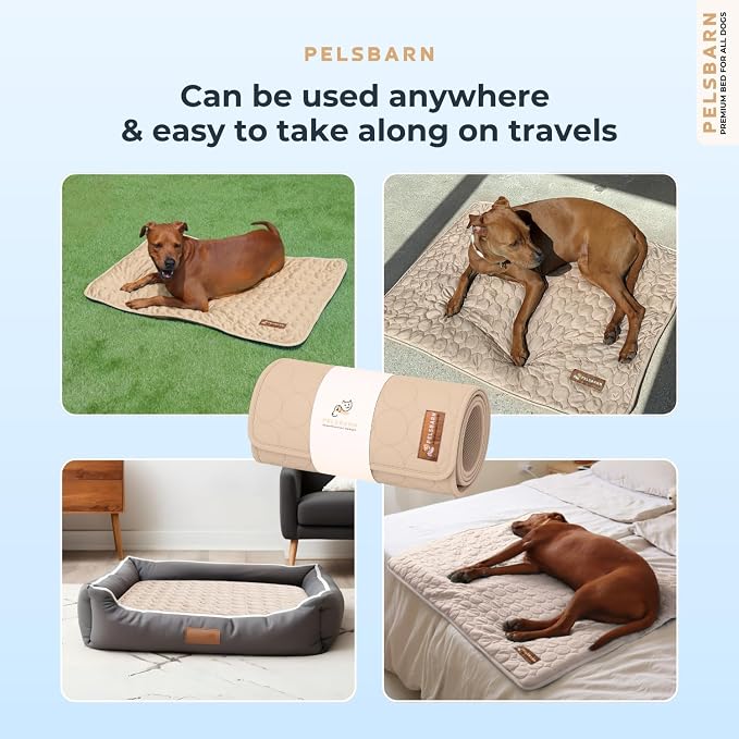 Pelsbarn Dog Cooling Mat- Ice Silk Summer Comfort, Self Cooling, Non-Slip Dog Pad, Durable & Washable, Mat for Large Dogs 25 x 37, Support Shelter Dogs with Every Purchase (Beige)