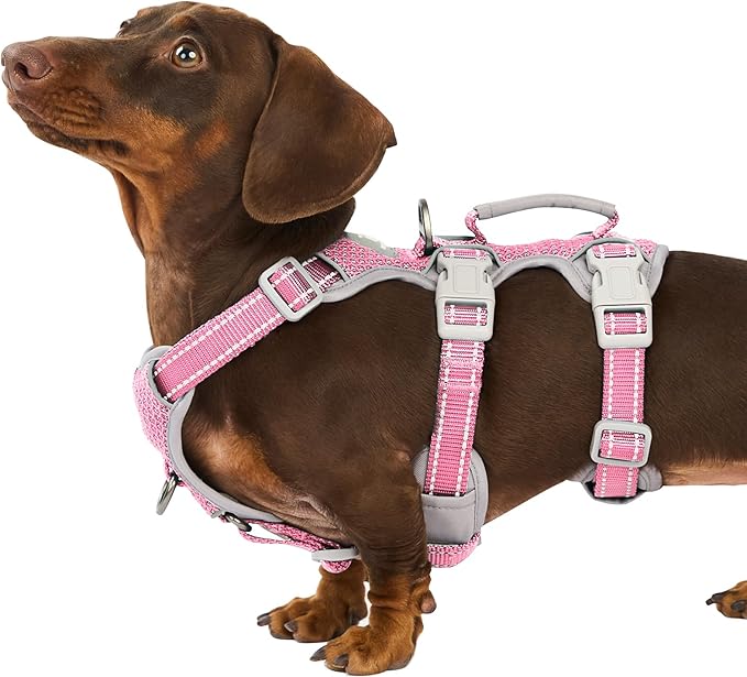 Huntboo Escape Proof Dog Harness, Escape Artist Harness, Fully Reflective Vest with Padded Handle, Breathable,Durable, Adjustable Vest for Medium Dogs Walking, Training, and Running Gear (Pink, XS