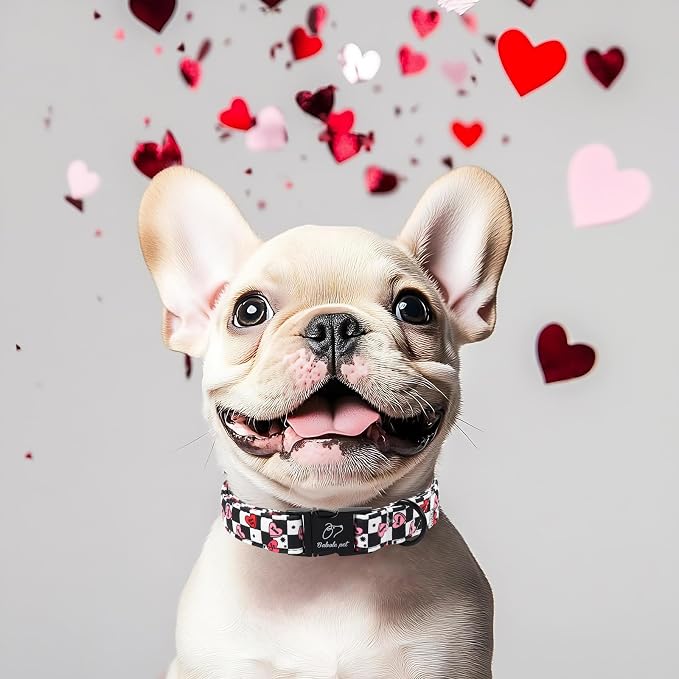 Valentines Dog Collar for Medium Dogs - Unique Black White Plaid Girl Boy Valentine Heart Dog Collars, Adjustable Heavy Duty Pet Collar with Metal Buckle M