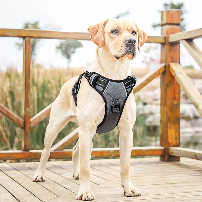 HEELE Dog Harness, No Pull Adjustable Padded Reflective Harness for Small Medium Large Dogs with Handle for Walking Training, Grey, L