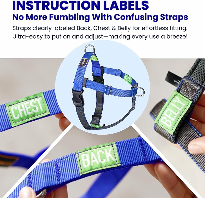 Freedom No Pull Dog Harness, Easy Walker, Stop Pulling with Two Stainless D-Rings, Comfortable, Sewn-in Instructions Tags for Easy Use, for Small Dogs Weight 20-30 lbs (Blue, Small)