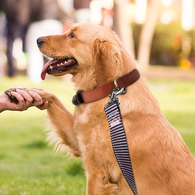 Hi Kiss Dog/Puppy Obedience Recall Training Agility Lead - 15ft 20ft 30ft 50ft 100ft Training Leash - Great for Training, Play, Camping, or Backyard(15ft,Black_Blue)
