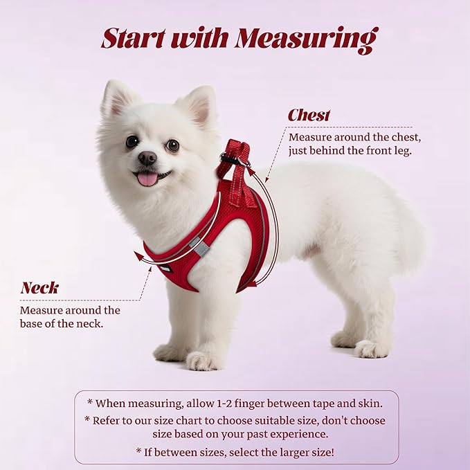 YIMEIS Dog Harness and Leash Set, No Pull Soft Mesh Pet Harness, Reflective Adjustable Puppy Vest for Small Medium Large Dogs, Cats (Red 02, Medium (Pack of 1)