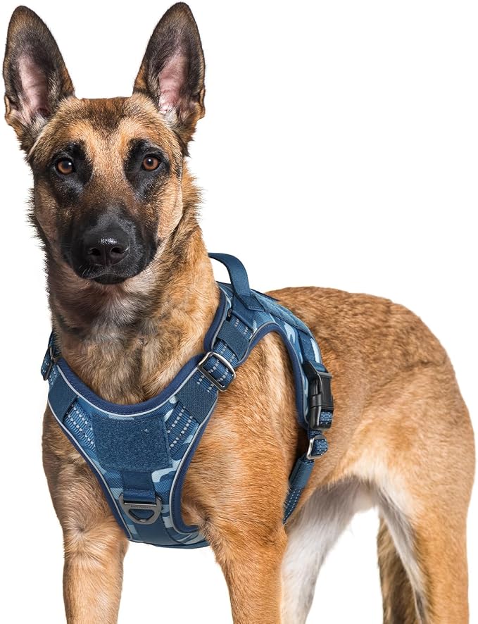 rabbitgoo Dog Harness for Large Dogs No Pull, Tactical Service Pet Vest with Molle and Control Handle, Adjustable and Reflective Military Harness for Easy Walking and Training, Blue Camo, XL