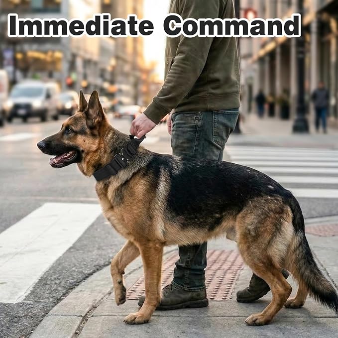 Joytale Tactical Dog Collar for Large Dogs with Control Handle, Heavy Duty Military Training Collar for Power Breeds, AirTag Holder Case, Quick Release Metal Buckle, Soft Padded, L, Black