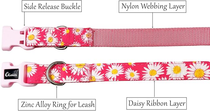 Dog Collar Leash Set, Floral Pattern, Nylon Webbing Plus Cotton Ribbon, 5ft Matching Leash, for Medium Dogs.(M, Pink Daisy)